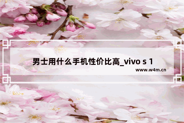 男士用什么手机性价比高_vivo s 12 pro 和vivox70哪一款适应 50岁男士用