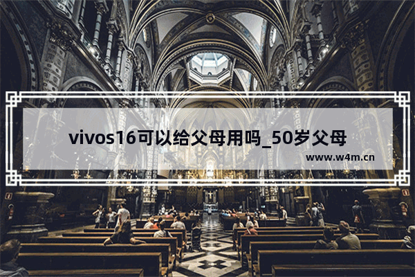 vivos16可以给父母用吗_50岁父母用的智能手机推荐