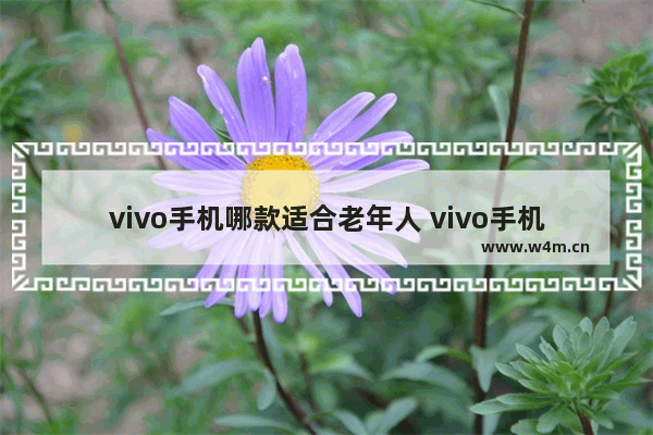 vivo手机哪款适合老年人 vivo手机推荐性价比高卖给老人