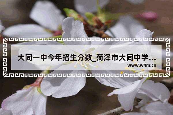 大同一中今年招生分数_菏泽市大同中学今年录取分数线