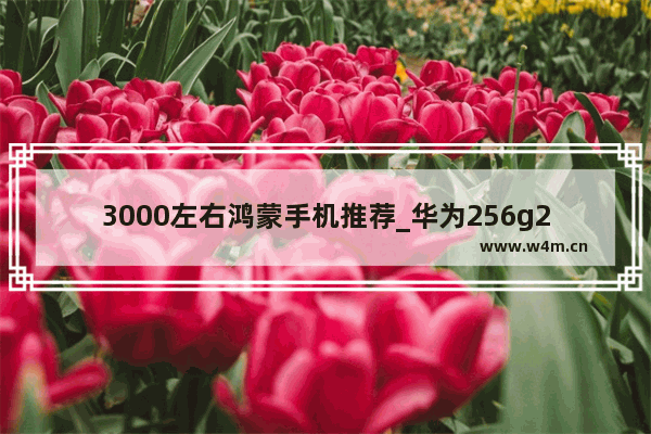 3000左右鸿蒙手机推荐_华为256g2500-3000元性价比高的手机有哪些