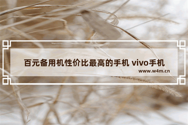 百元备用机性价比最高的手机 vivo手机推荐性价比高百元左右