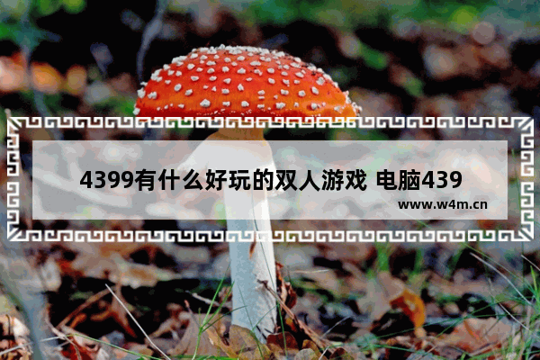 4399有什么好玩的双人游戏 电脑4399好玩的双人游戏推荐