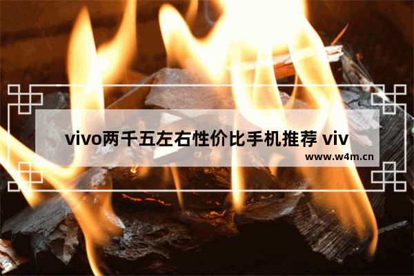 vivo两千五左右性价比手机推荐 vivo手机推荐性价比高两千左右