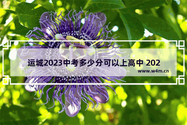 运城2023中考多少分可以上高中 2022年运城高考分数线