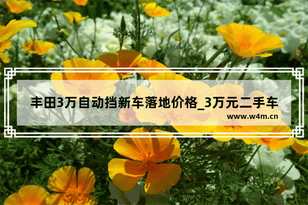 丰田3万自动挡新车落地价格_3万元二手车自动挡的有哪些