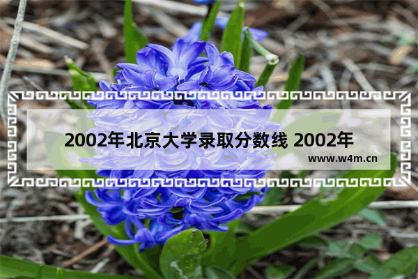 2002年北京大学录取分数线 2002年高考分数线广西