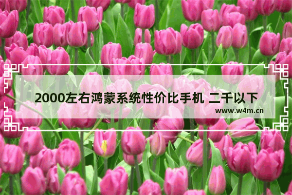 2000左右鸿蒙系统性价比手机 二千以下华为手机推荐哪款