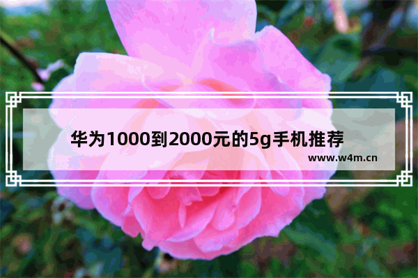 华为1000到2000元的5g手机推荐 两千多元华为手机推荐