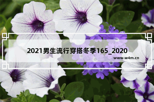 2021男生流行穿搭冬季165_2020秋冬胖男生穿搭