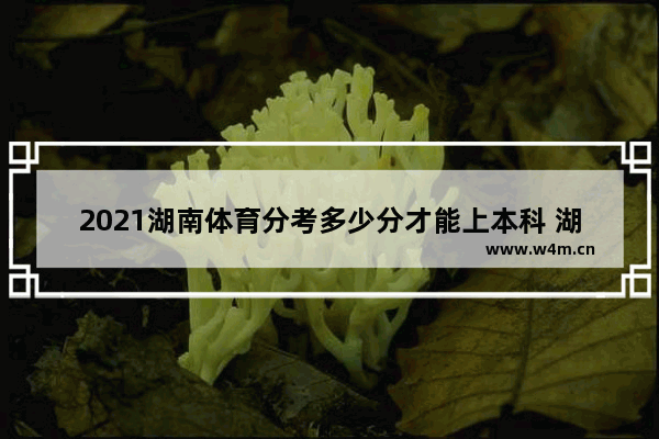 2021湖南体育分考多少分才能上本科 湖南体校高考分数线是多少