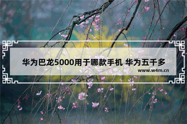 华为巴龙5000用于哪款手机 华为五千多手机推荐哪款好