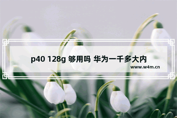 p40 128g 够用吗 华为一千多大内存手机推荐