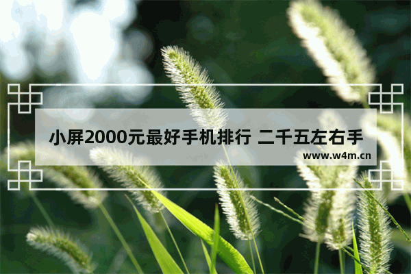 小屏2000元最好手机排行 二千五左右手机推荐哪款