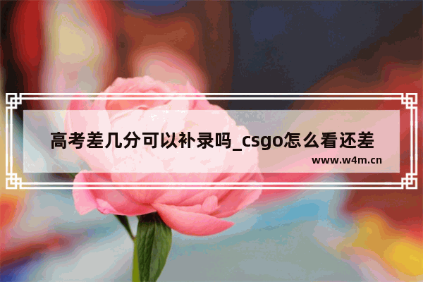 高考差几分可以补录吗_csgo怎么看还差多少升段位