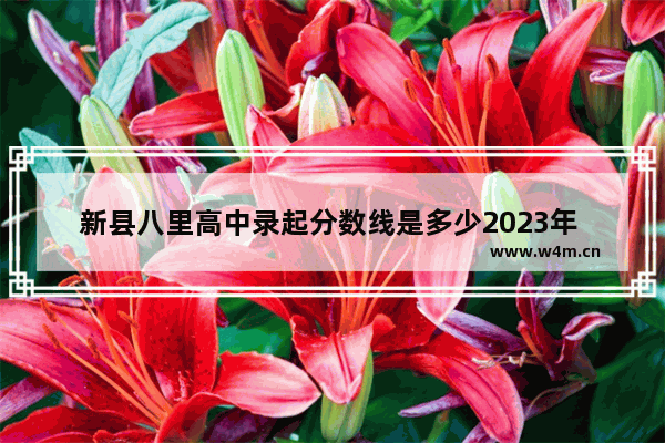 新县八里高中录起分数线是多少2023年 08年新县高考分数线查询