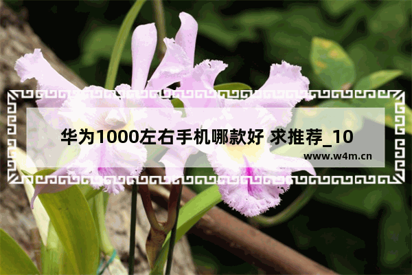 华为1000左右手机哪款好 求推荐_1000多像素好的华为手机推荐