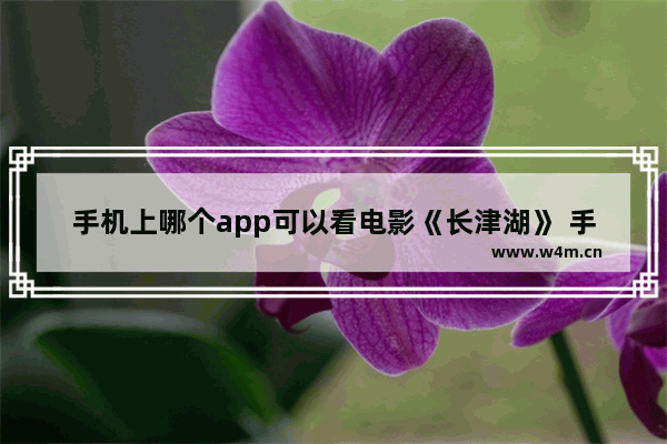 手机上哪个app可以看电影《长津湖》 手机上怎么能看最新电影