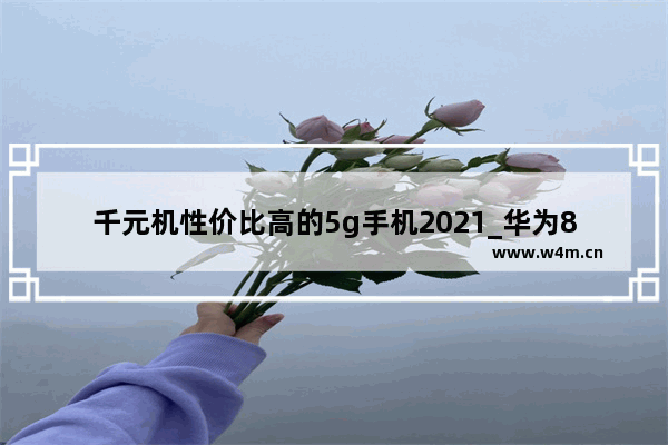 千元机性价比高的5g手机2021_华为8+256的5g手机推荐