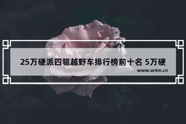 25万硬派四驱越野车排行榜前十名 5万硬派越野新车推荐哪款车型好