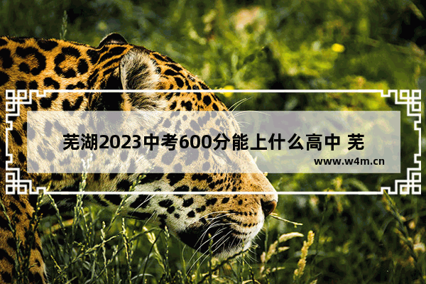 芜湖2023中考600分能上什么高中 芜湖高考分数线排名表