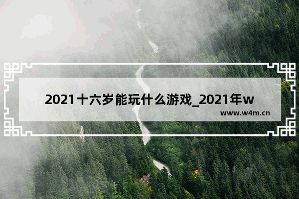 2021十六岁能玩什么游戏_2021年wegame 好玩的游戏