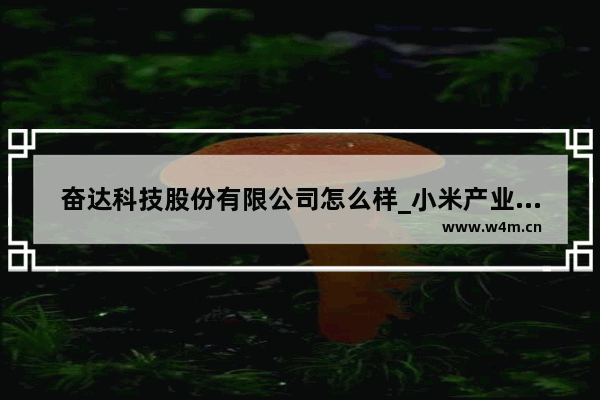 奋达科技股份有限公司怎么样_小米产业链股票有哪些