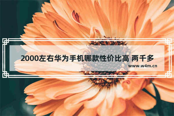 2000左右华为手机哪款性价比高 两千多华为手机推荐新机