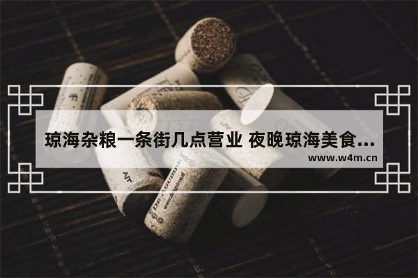 琼海杂粮一条街几点营业 夜晚琼海美食推荐