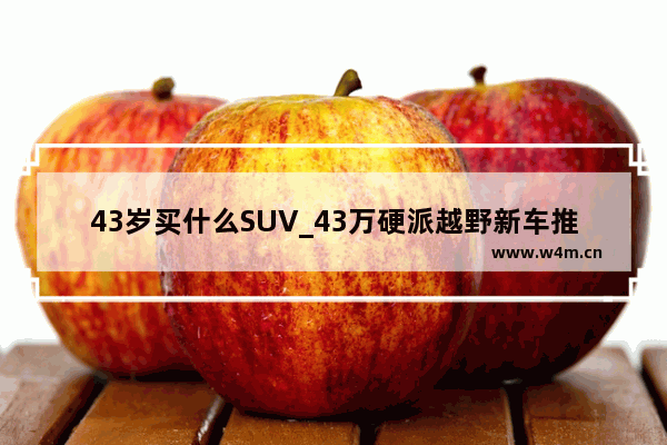 43岁买什么SUV_43万硬派越野新车推荐一下