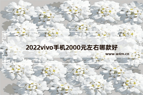 2022vivo手机2000元左右哪款好_二千多手机推荐哪款