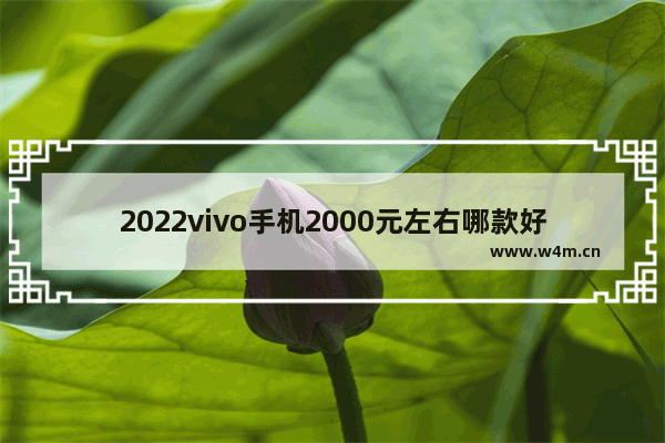 2022vivo手机2000元左右哪款好 二千多手机推荐性价比高