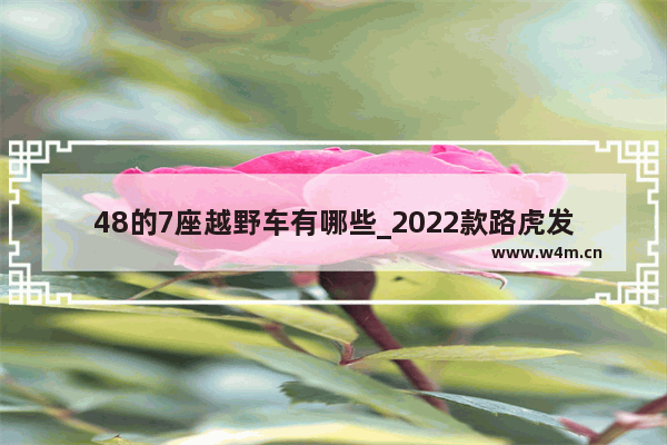 48的7座越野车有哪些_2022款路虎发现6上市