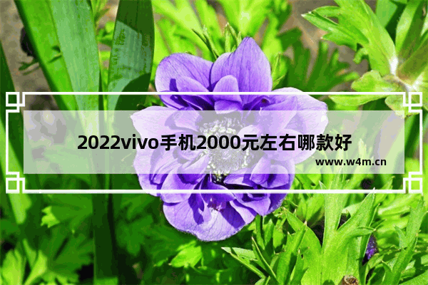 2022vivo手机2000元左右哪款好_2000左右华为荣耀跟vivo哪个性价比高