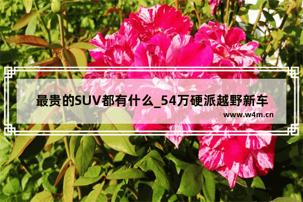 最贵的SUV都有什么_54万硬派越野新车推荐一下车型