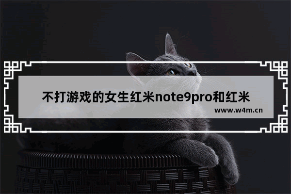 不打游戏的女生红米note9pro和红米note10pro哪个好 游戏推荐女生休闲可爱像素手机