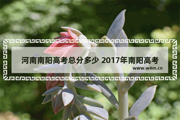 河南南阳高考总分多少 2017年南阳高考分数线