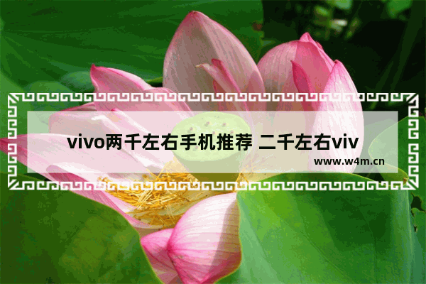 vivo两千左右手机推荐 二千左右vivo系列手机推荐