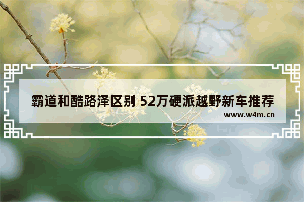 霸道和酷路泽区别 52万硬派越野新车推荐哪款车型