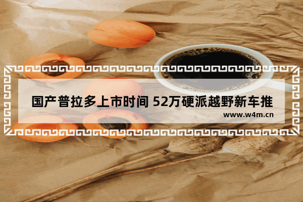 国产普拉多上市时间 52万硬派越野新车推荐一下车型有哪些