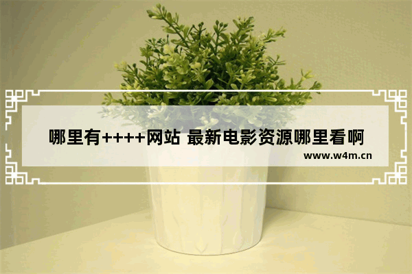 哪里有++++网站 最新电影资源哪里看啊