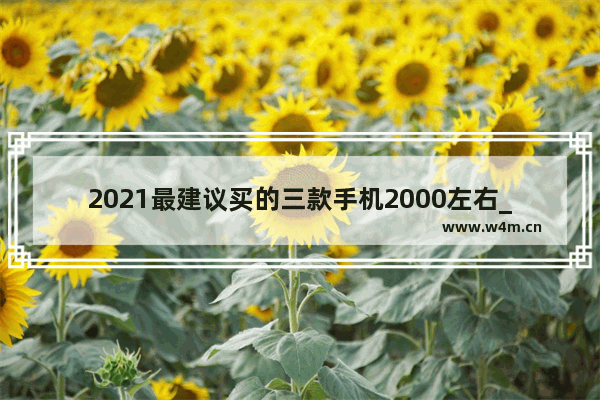 2021最建议买的三款手机2000左右_2000左右性价比高手机排行榜