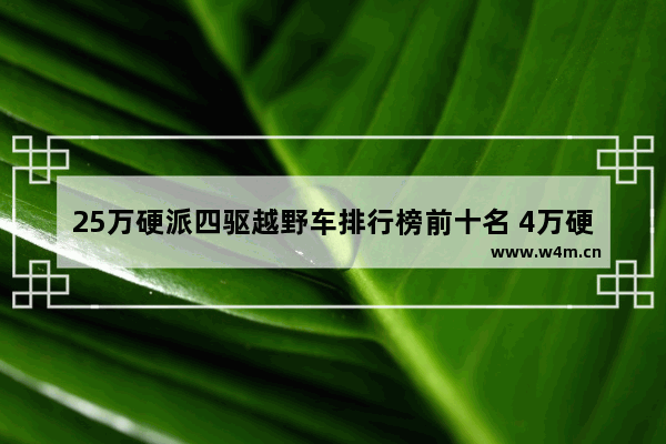 25万硬派四驱越野车排行榜前十名 4万硬派越野新车推荐一下车型有哪些