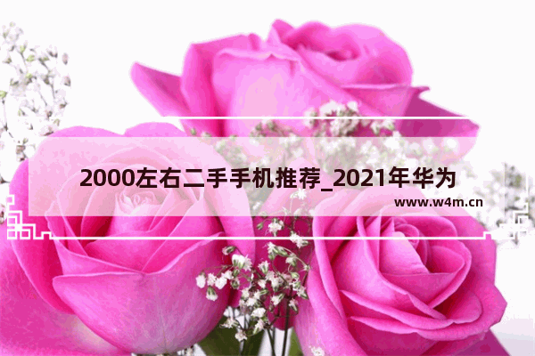 2000左右二手手机推荐_2021年华为二手机哪款性价比高