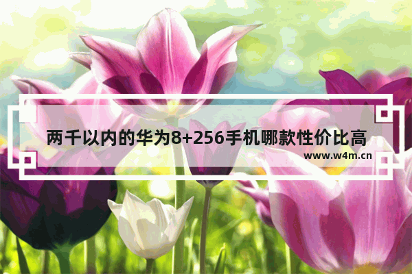 两千以内的华为8+256手机哪款性价比高 华为2千元左右手机推荐哪款最好