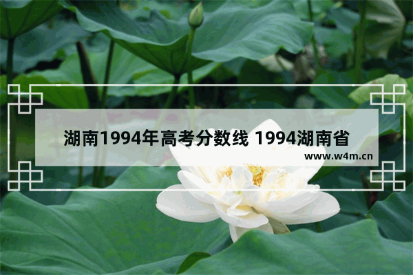 湖南1994年高考分数线 1994湖南省高考分数线