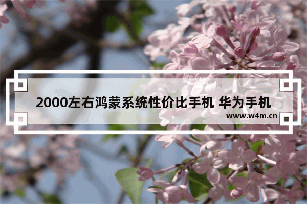 2000左右鸿蒙系统性价比手机 华为手机5g二千左右手机推荐哪款