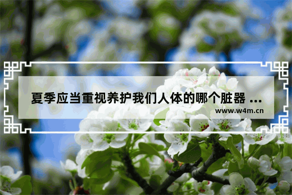 夏季应当重视养护我们人体的哪个脏器 夏季养生健康小知识中医解读内容