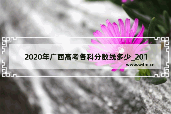 2020年广西高考各科分数线多少_2018到2020年高考本科录取分数线