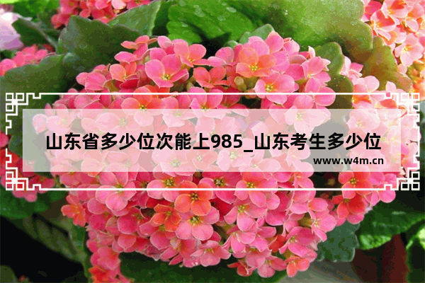 山东省多少位次能上985_山东考生多少位次能上985 211